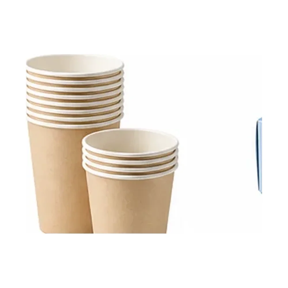 Paper Straw Boxes