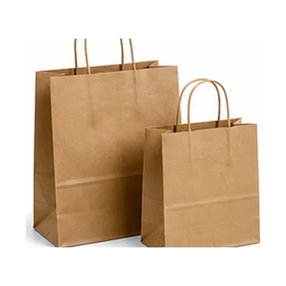 Paper Carry Bags